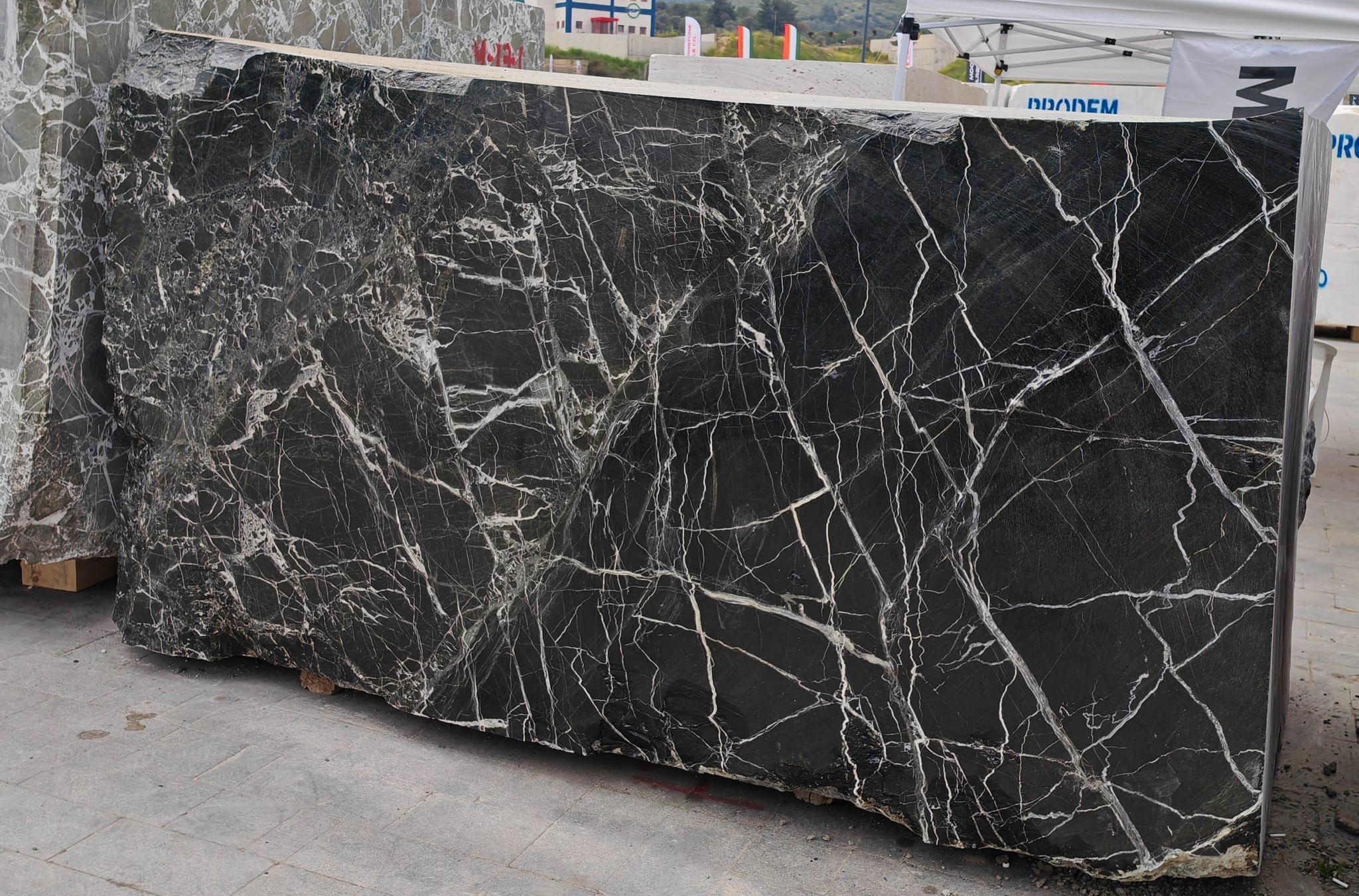 Verde Levanto marble: rich green with distinctive veining — rare color marble from Italy
